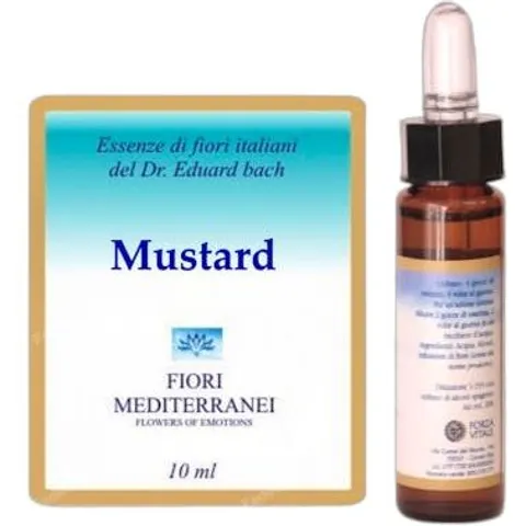 Forza Vitale Fm 21 Mustard 10 ml – imagen 2