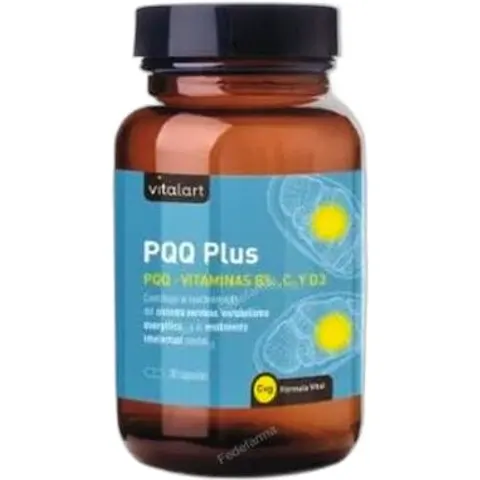 Vitalart PQQ Plus 30 Cápsulas – imagen 2