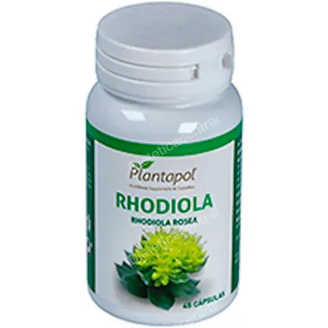 PlantaPol Rhodiola 45 Cápsulas – imagen 2