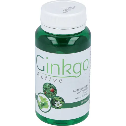 Saludalkalina ginkgo active 60cap. – imagen 2