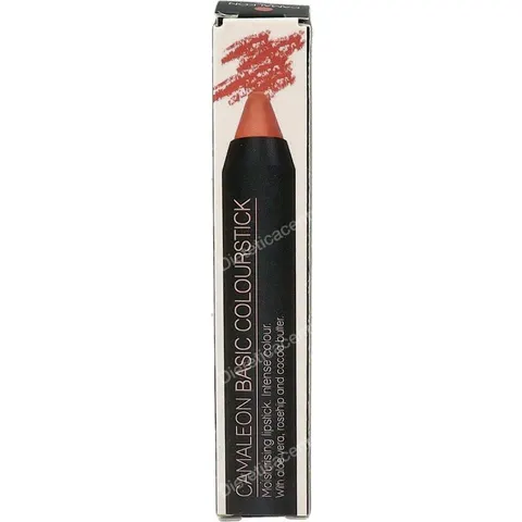 Camaleon Cosmetics Pintalabios Basic Nude 100 gr – imagen 2