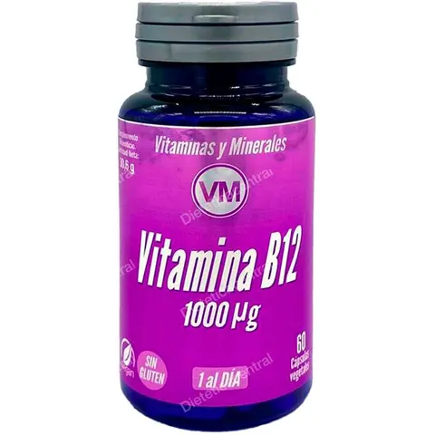 Ynsadiet vitamina b12 1000µg 60cap. – imagen 2