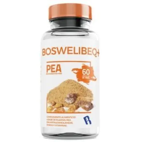 Bequisa boswelibeq+pea 60 cap – imagen 2