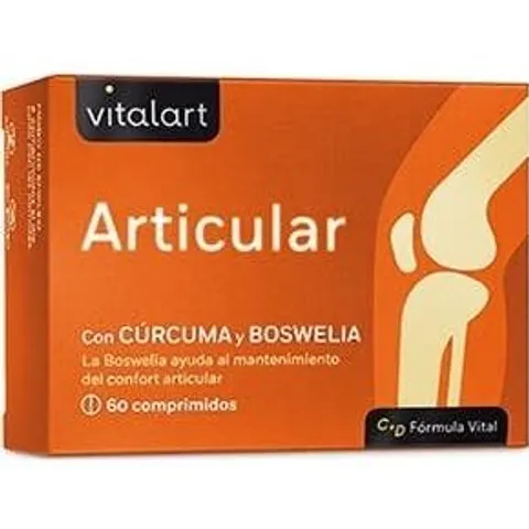 Vitalart Articular 60comp – imagen 2