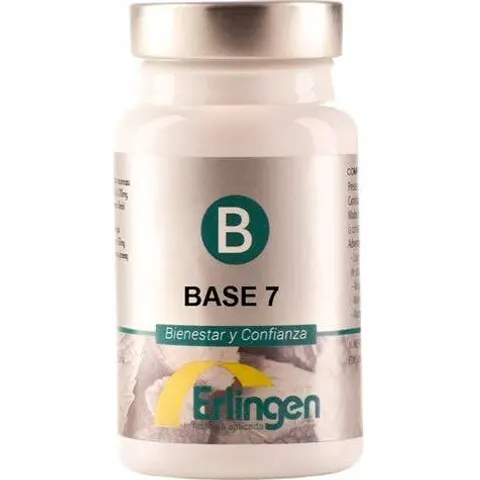 Erlingen Base 07 – imagen 4