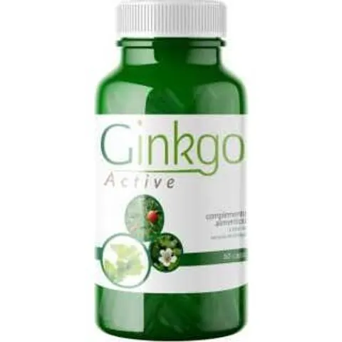 Saludalkalina ginkgo active 60cap. – imagen 3