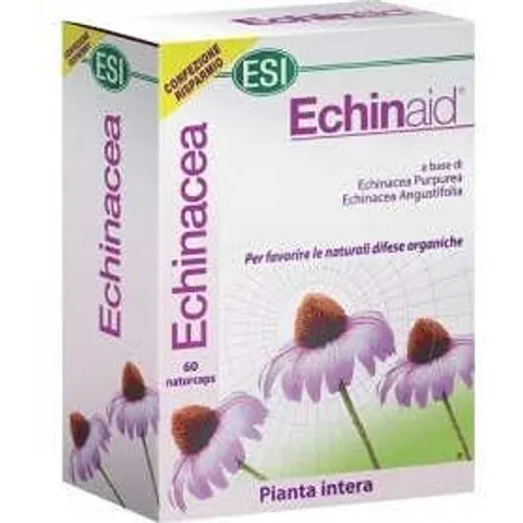 ESI Echinaid Alta Potencia 60Cps – imagen 2