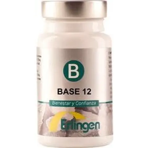 Erlingen Base 12 60 comp – imagen 4