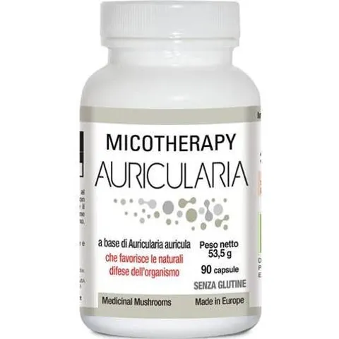 Avd Micotherapy Auricularia 90 Caps – imagen 5