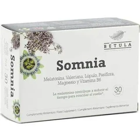 Betula Somni 30 caps – imagen 3