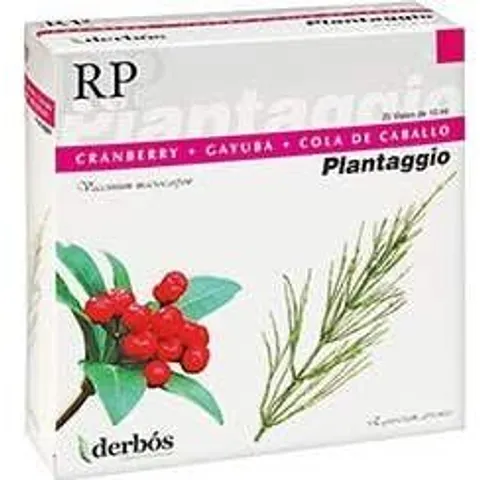 Derbosa Plantaggio Rp – imagen 4