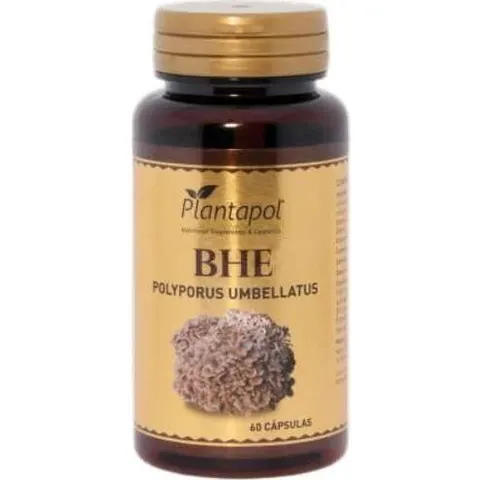 PlantaPol BHE Polyporus 60 caps – imagen 3