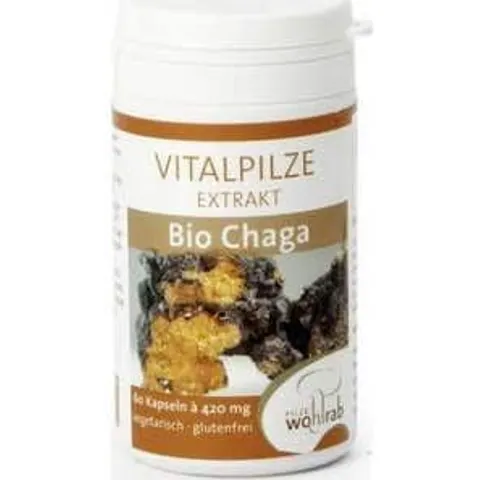 Pilze Wohlrab Biochaga 60 Cápsulas – imagen 4