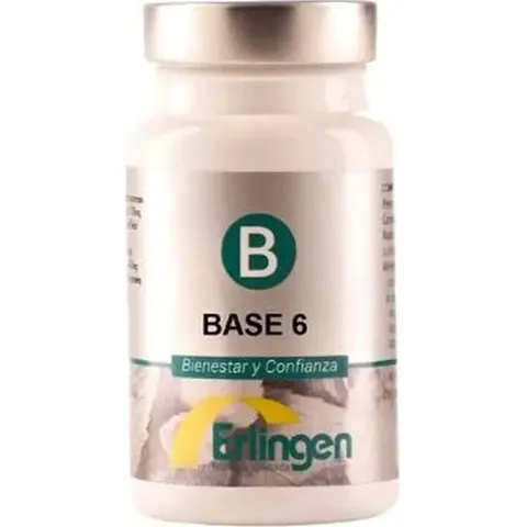 Erlingen Base 6 60comp – imagen 3