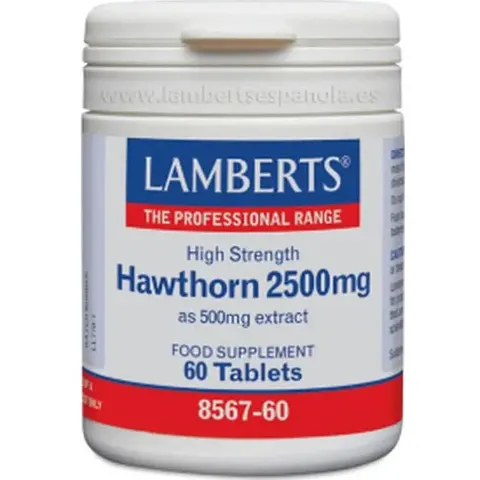 Lamberts ESPINO BLANCO 2500mg 60 Tabs – imagen 3