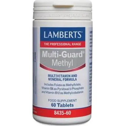 Lamberts Multi Guard Methyl 60 comp – imagen 2