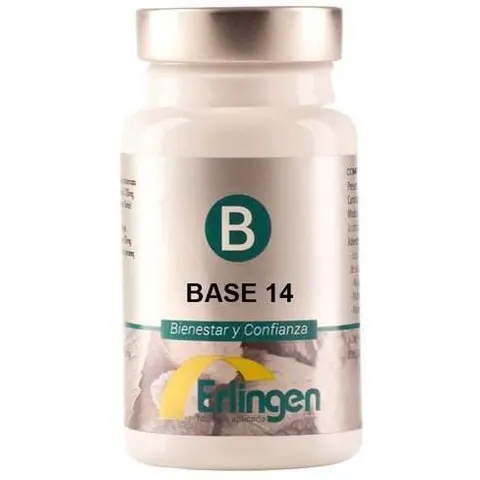 Erlingen Base 14 60comp – imagen 4