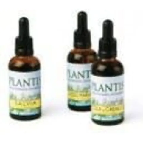 Plantis Extracto Zarzaparrilla 50 ml – imagen 3