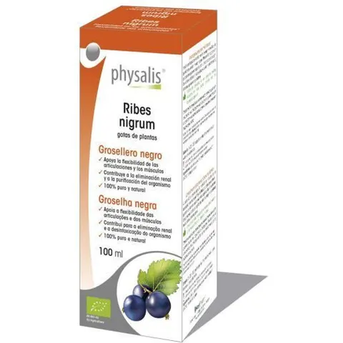 Physalis Extracto Ribes Nigrum 100Ml Bio – imagen 4
