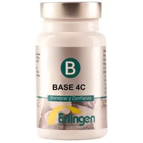 Erlingen Base 4 C 60 comp – imagen 4