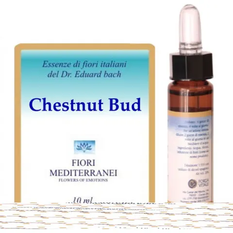 Forza Vitale Fm 7 Chesnut Bud 10 ml – imagen 2