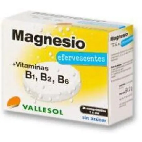Vallesol Magnesio+B Efervescente 24Comp – imagen 3