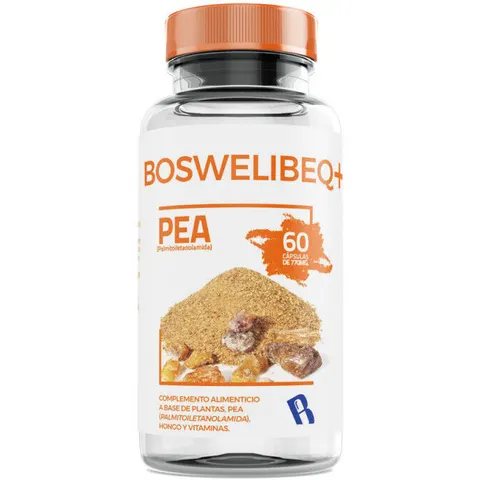 Bequisa boswelibeq+pea 60 cap – imagen 3