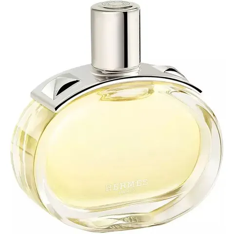 HERMÈS Barénia – imagen 5