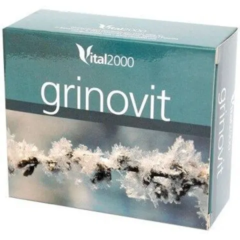 VITAL 2000 Grinovit 60comp – imagen 3