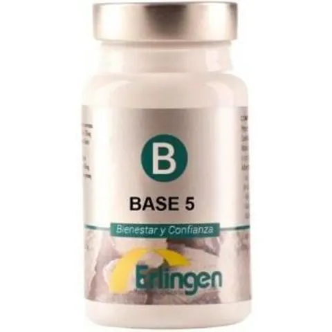 Erlingen Base 5 60comp – imagen 3