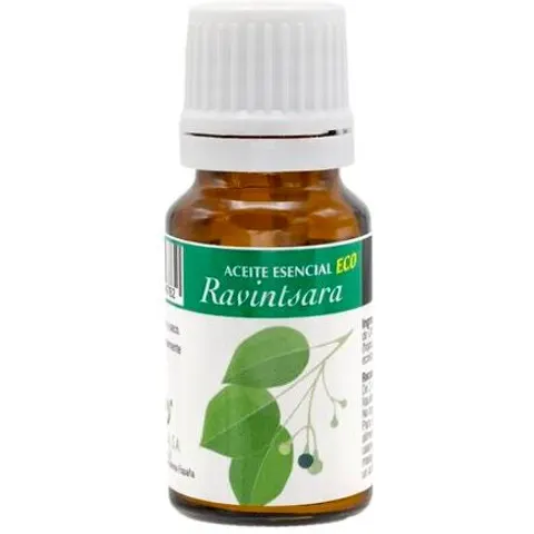 Plantis Ravintsara Aceite Esencial 10 ml – imagen 4
