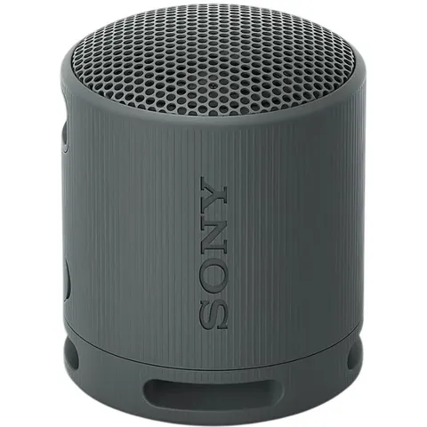 Sony SRS-XB100 Negro – imagen 2