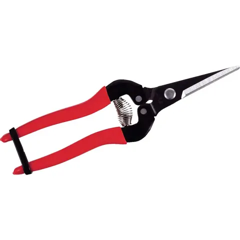 ARS 300L Pointed Fruit Pruner – image 2