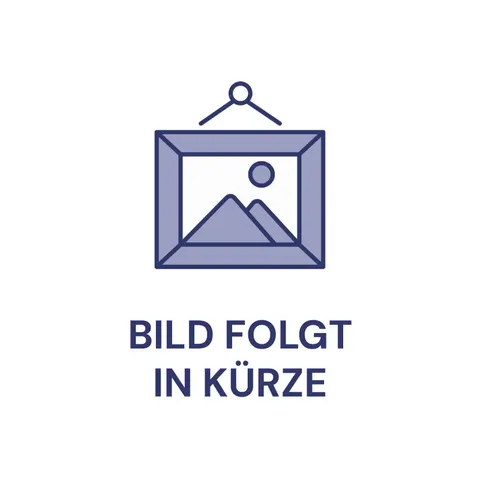 EINHELL Stichsäge TC-JS 80/1 Kit, 4321157 – Bild 2
