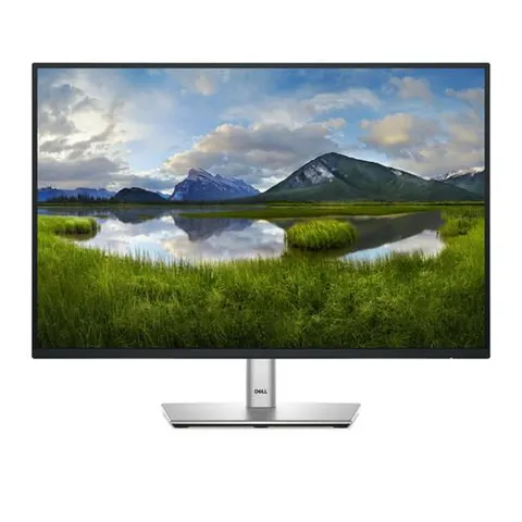 DELL Pro Plus P2425 computer monitor – Bild 2