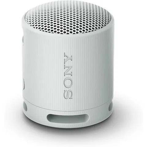 SRS-XB 100 hellgrau Bluetooth-Lautsprecher – Bild 2