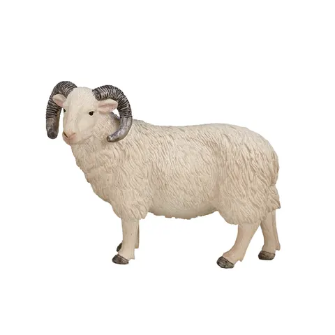Sheep (Ram) – image 2