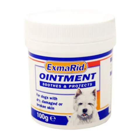 (Single (100g)) ExmaRid Ointment – image 2