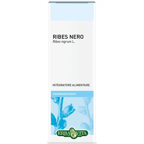 Erba Vita Ribes Nero Gemmoderivato 50 ml – immagine 2