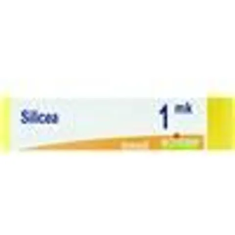 BOIRON Srl SILICEA Dose MK – immagine 2