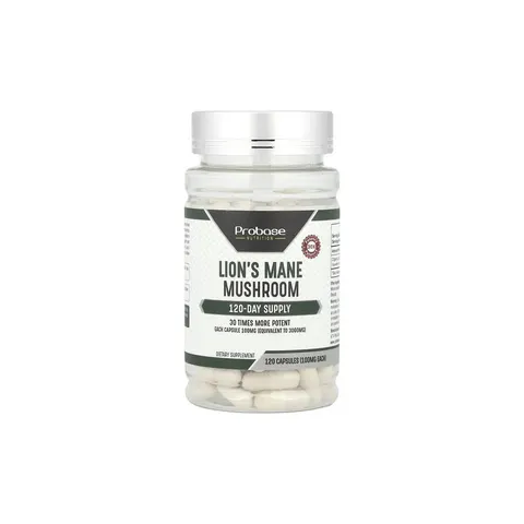 Lion's Mane Mushroom – image 2