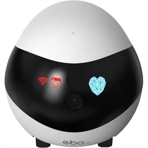 ENABOT Robot con videocamera Ebo SE – immagine 2