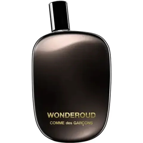 COMME DES GARÇONS Wonderoud 100 ml – imagen 2