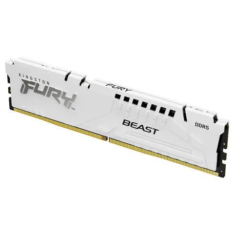 Kingston Technology FURY Beast memory module – KF560C36BWE216 – Bild 3
